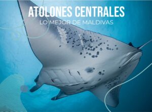 MALDIVAS ( PUENTE DICIEMBRE)